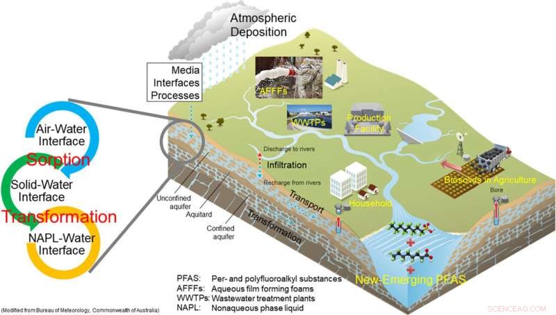 PFAS Accumulation Above Groundwater Threatens Ecosystems and Human Health