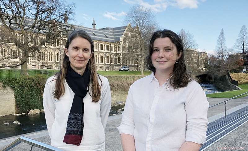 New Zealand Sees 60% Rise in CO2 Emissions from International Flights, Study Finds