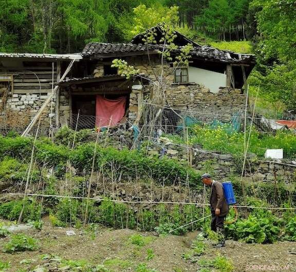 Uncovering Human Factors Hindering Global Sustainability Progress