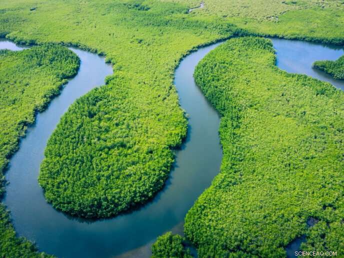 Why Rivers Never Straighten: The Science Behind Their Serpentine Paths