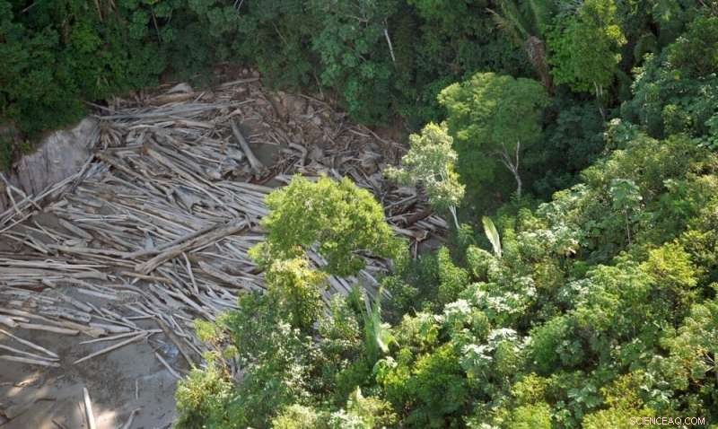 AI-Driven Mapping Identifies New Priority Zones for Amazon Deforestation Prevention