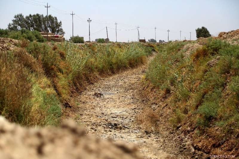 Iraq’s Southern Villages Face Water Crisis Amid Boiling Heat