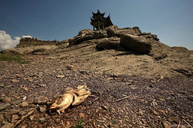 China Warns of Critical Threat to Autumn Harvest Amid Record-Breaking Heatwave
