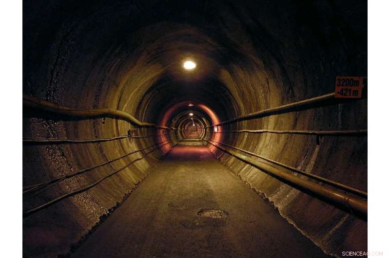 Surface Organic Matter Drives the Deep Biosphere