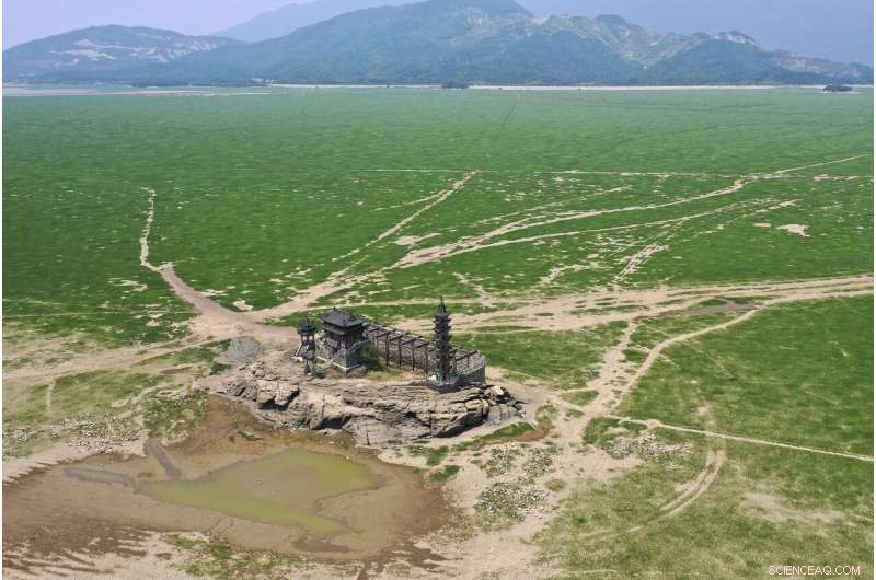China Ramps Up Efforts to Rehydrate Poyang Lake and Sustain Agriculture