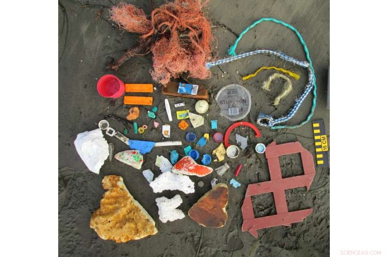 Study Finds Predictable Litter Accumulation Patterns Along Washington and Oregon Shores