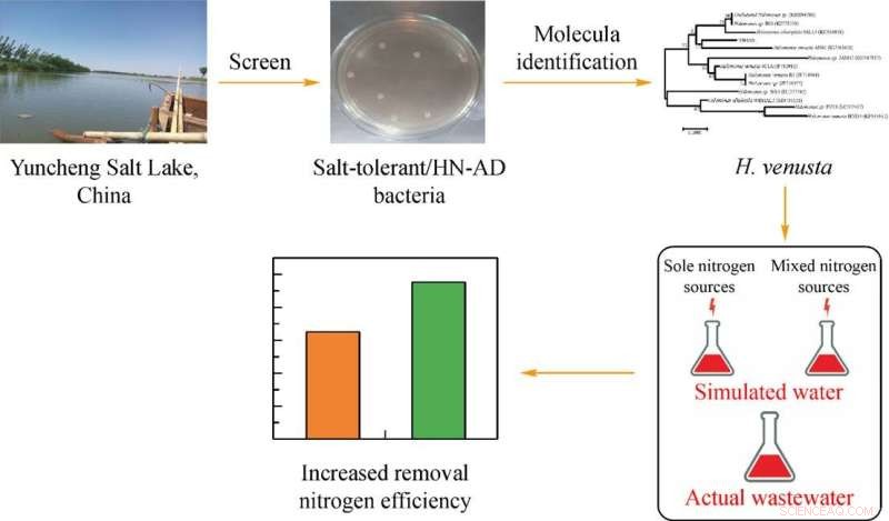 Innovative Approach to High-Salinity Nitrogenous Wastewater Treatment
