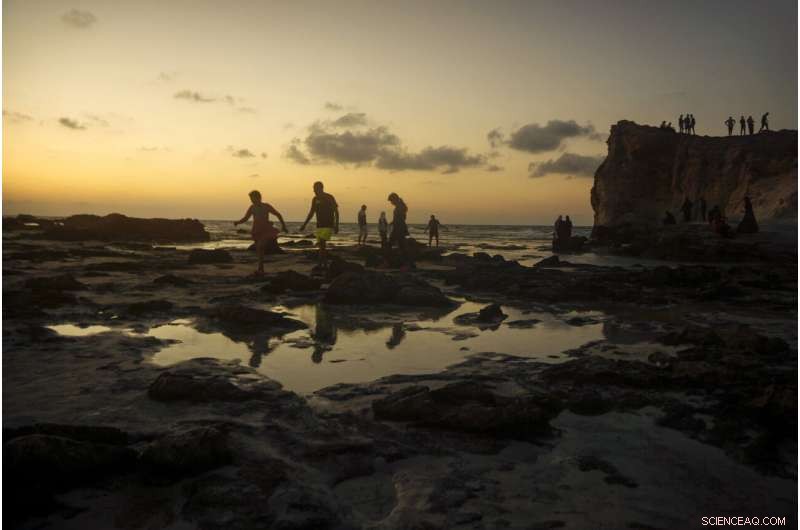 Rapidly Warming Mediterranean Sea Signals Impending Environmental Crisis