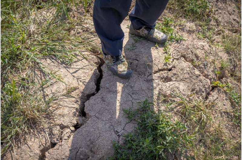 China Launches Cloud Seeding Initiative to Safeguard Grain Harvest Amid Severe Drought