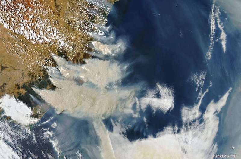 Limited Nuclear War Could Trigger Decade‑Long Global Food Crisis, Study Finds