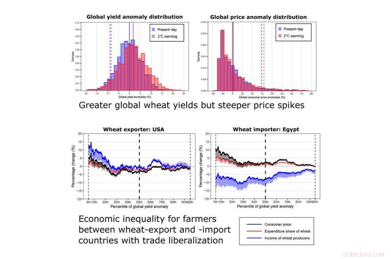 Climate Change Intensifies Wheat Price Volatility and Deepens Economic Inequality