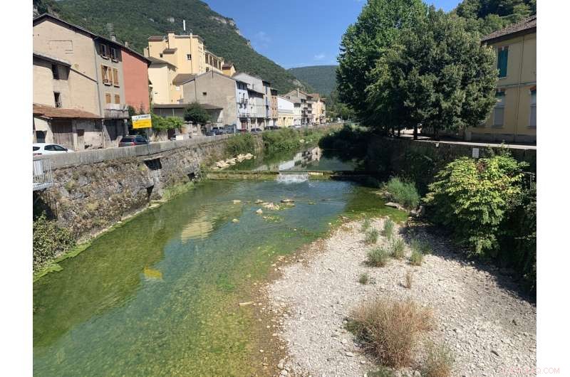 Critical Biodiversity Insights from a Small French River