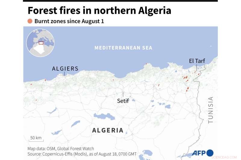 Algeria Wildfires Contained; Additional Evacuations Ordered Near Tunisian Border