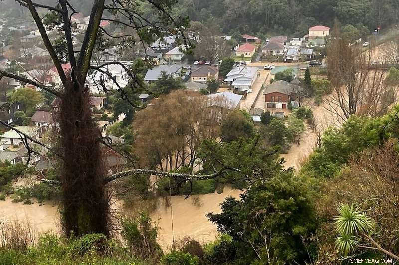Nelson, NZ: Flood Recovery Expected to Span Years as Mayor Addresses Evacuations