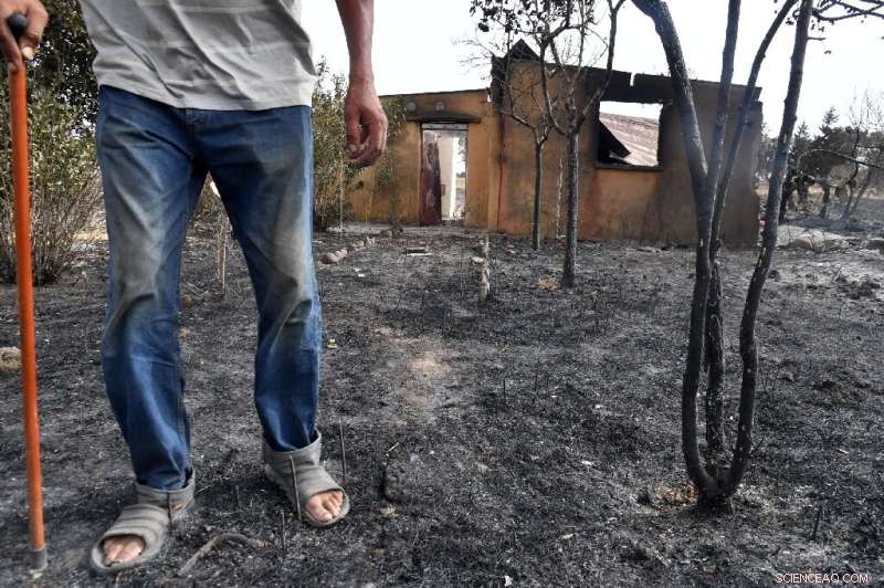 Algerian Firefighters Subdue Wildfires That Killed 38