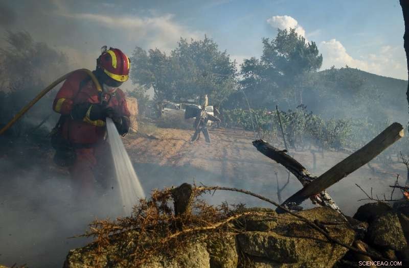 Spanish Wildfire Rises Again, Endangering Nearby Natural Park