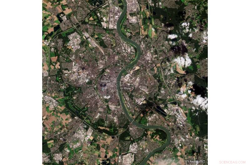 Europe s Rhine River Sees Alarming Dryness Amid Climate Crisis