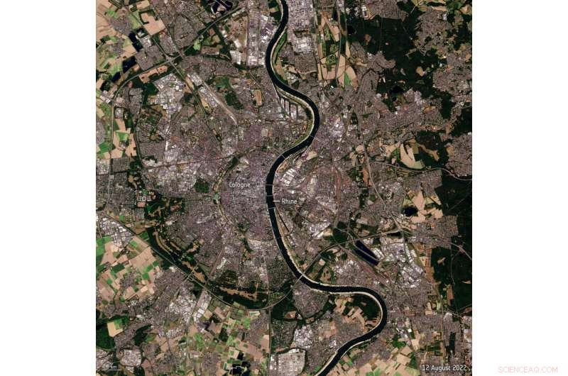 Europe s Rhine River Sees Alarming Dryness Amid Climate Crisis