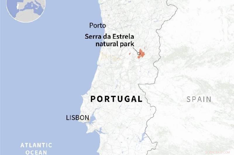 Portugal and Spain Wildfires Contained After Massive Blaze—Firefighters Secure Victory
