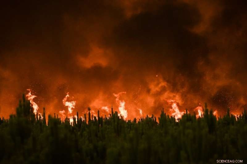 Climate Change Fuels Record‑Breaking Global Forest Fire Loss