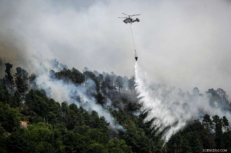 Climate Change Fuels Record‑Breaking Global Forest Fire Loss