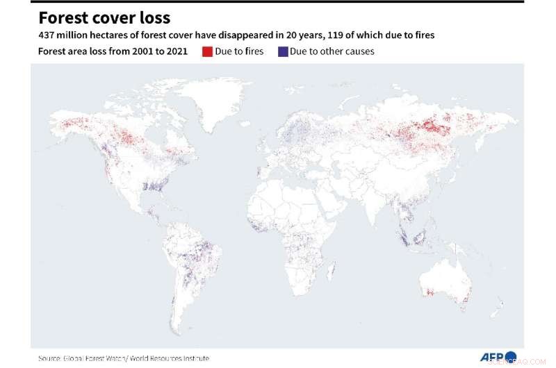 Climate Change Fuels Record‑Breaking Global Forest Fire Loss