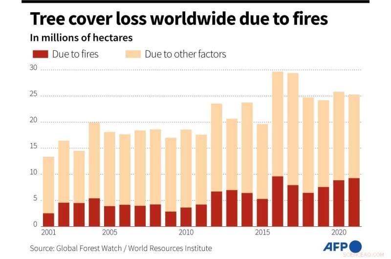 Climate Change Fuels Record‑Breaking Global Forest Fire Loss