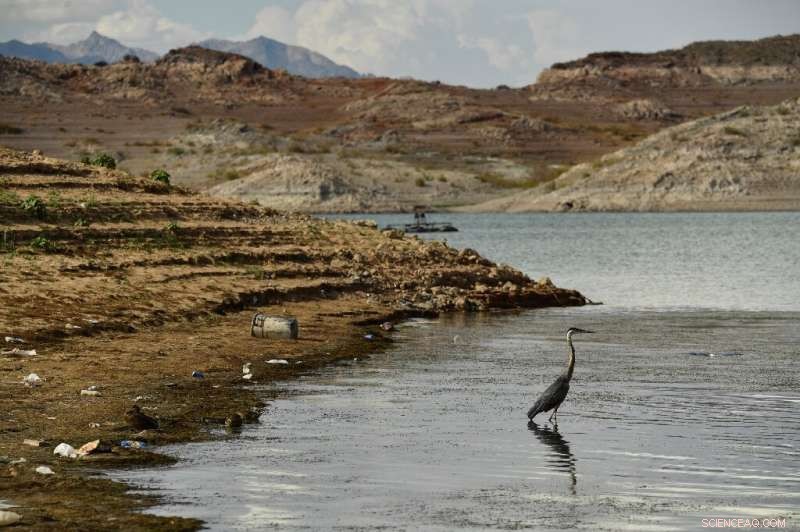 US Cuts Water to States and Mexico Amid Colorado River Drought
