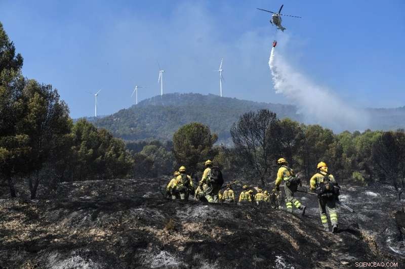 Portugal and Spain Struggle to Tame Escalating Forest Fires