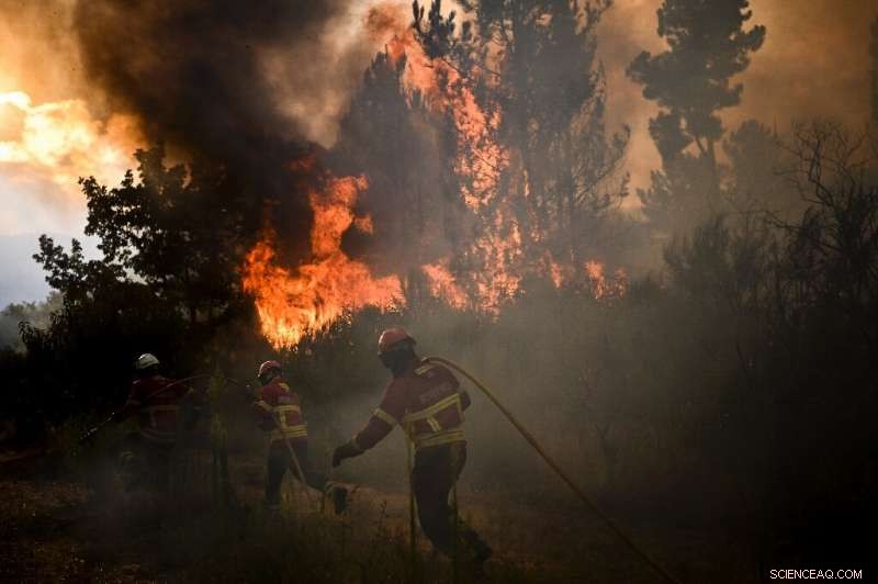 Portugal and Spain Struggle to Tame Escalating Forest Fires