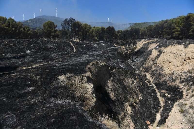 Portugal and Spain Struggle to Tame Escalating Forest Fires