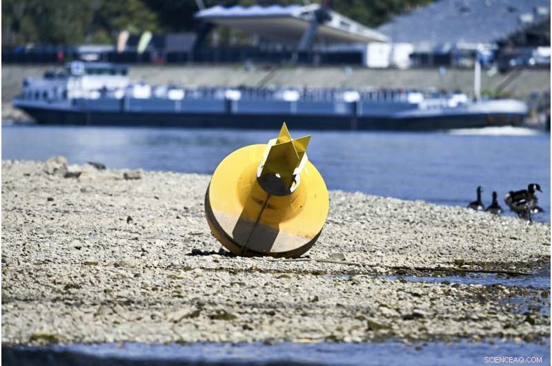German Industry at Risk: Rhine River Levels Hit Record Lows Amid Drought