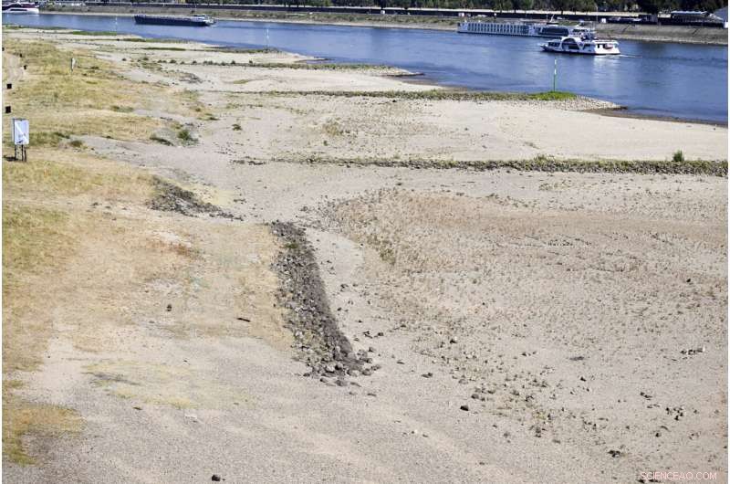 German Industry at Risk: Rhine River Levels Hit Record Lows Amid Drought