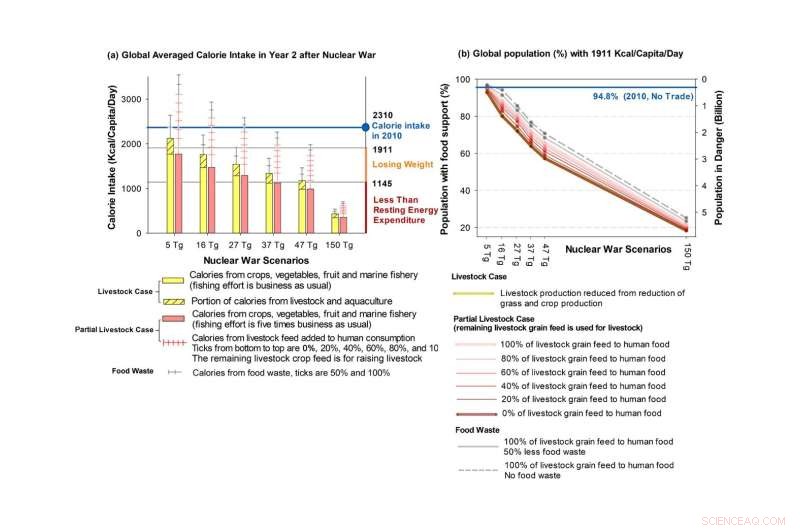 Global Study Warns Nuclear War Could Trigger Worldwide Famine, Killing Billions