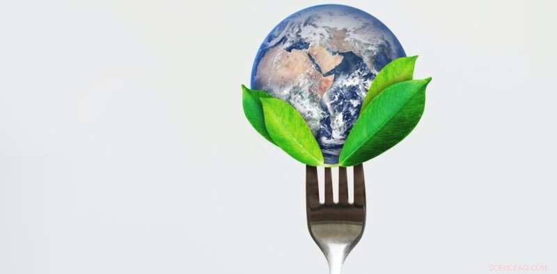 Which Diet Can Save the Planet? Climatarian, Flexitarian, Vegetarian, or Vegan Explained