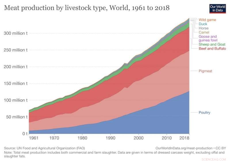 Which Diet Can Save the Planet? Climatarian, Flexitarian, Vegetarian, or Vegan Explained