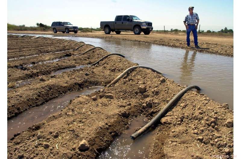 Urgent Deadline: Western States Must Reduce Colorado River Water Use