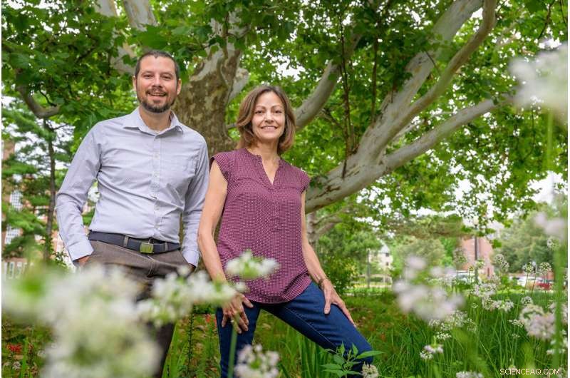 Measuring Community Disaster Resilience: Factors, Methods & County-Level Insights