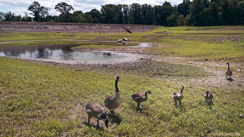 Northeastern Farmers Battle Severe Drought, Facing Unprecedented Agricultural Challenges