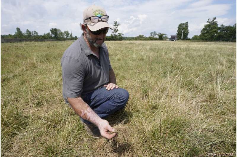 Northeastern Farmers Battle Severe Drought, Facing Unprecedented Agricultural Challenges
