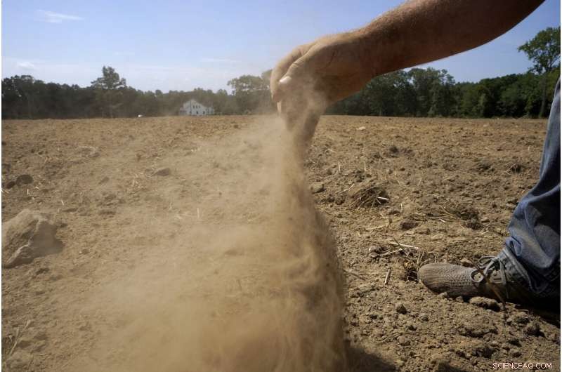 Northeastern Farmers Battle Severe Drought, Facing Unprecedented Agricultural Challenges