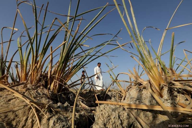 Iraq’s Ancient Marshlands Turn into Desert, Threatening the Legendary Garden of Eden