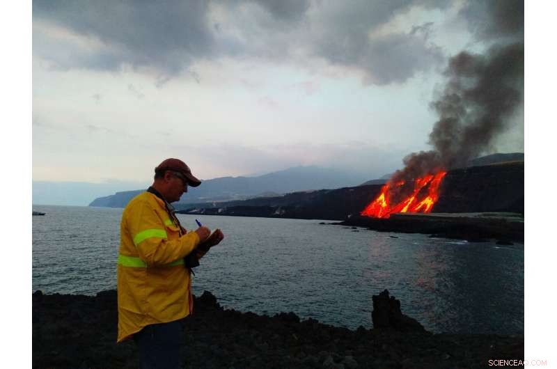 New Paleomagnetic Insights into Cumbre Vieja s 2021 Eruption