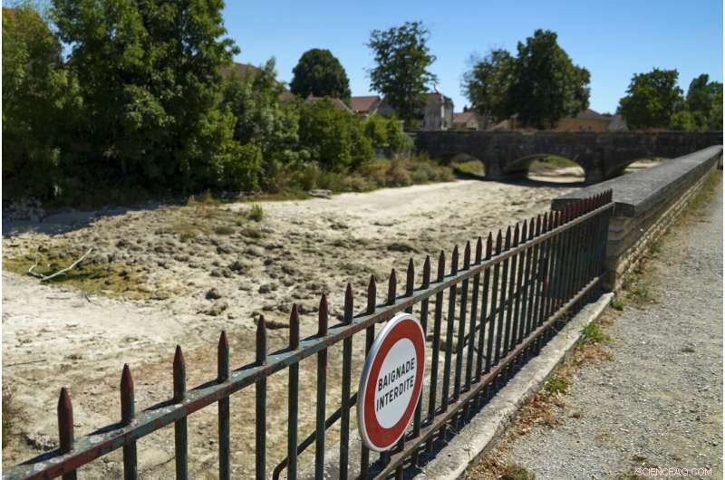 Europe Battles Severe Drought: Rivers Dry, Fish Die, Crops Wither
