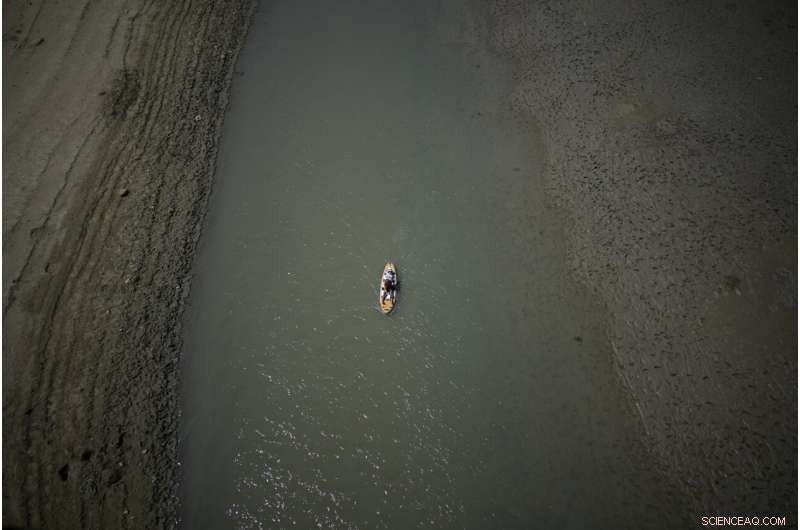 Europe Battles Severe Drought: Rivers Dry, Fish Die, Crops Wither