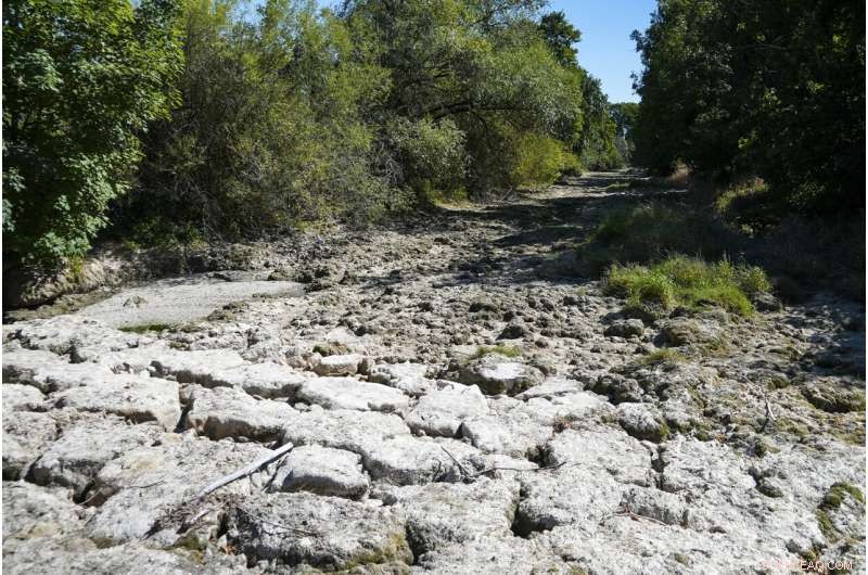 Europe Battles Severe Drought: Rivers Dry, Fish Die, Crops Wither
