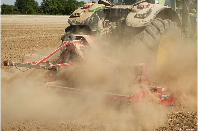 Europe Battles Severe Drought: Rivers Dry, Fish Die, Crops Wither