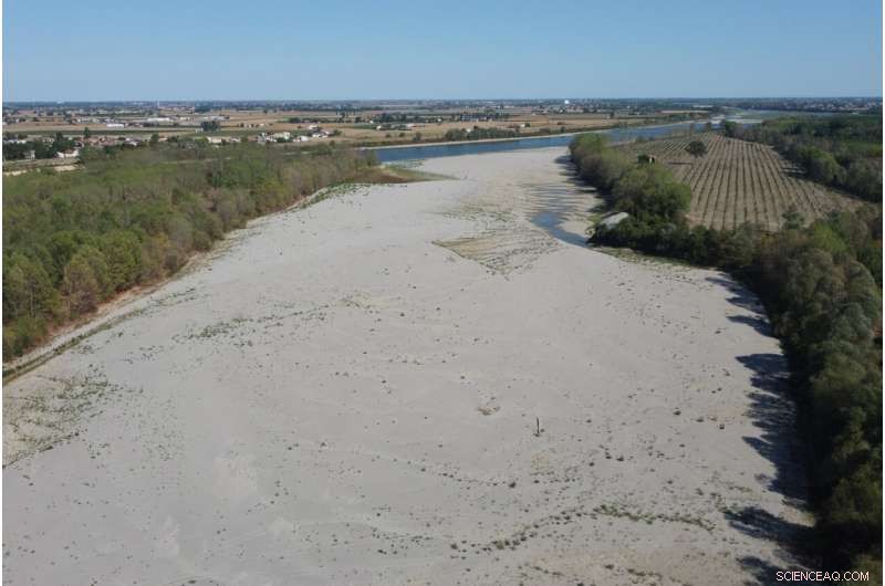 Europe Battles Severe Drought: Rivers Dry, Fish Die, Crops Wither