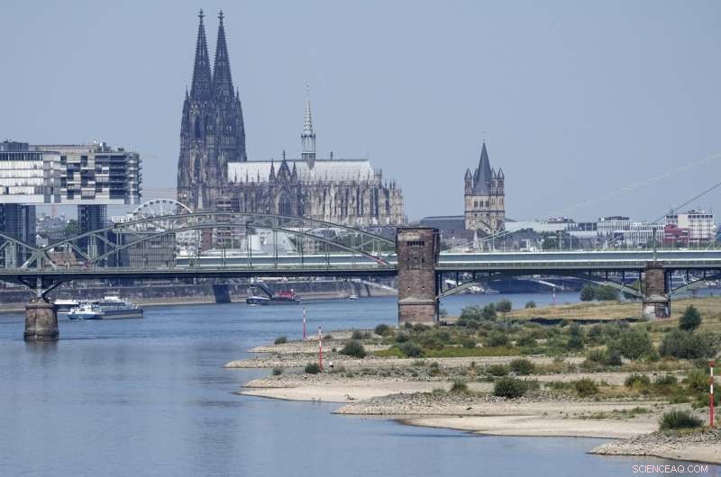Europe Battles Severe Drought: Rivers Dry, Fish Die, Crops Wither