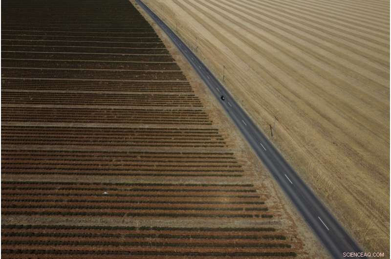 Europe Battles Severe Drought: Rivers Dry, Fish Die, Crops Wither